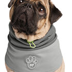Canada Pooch, Max Chill Cooling Snood Grey image number null